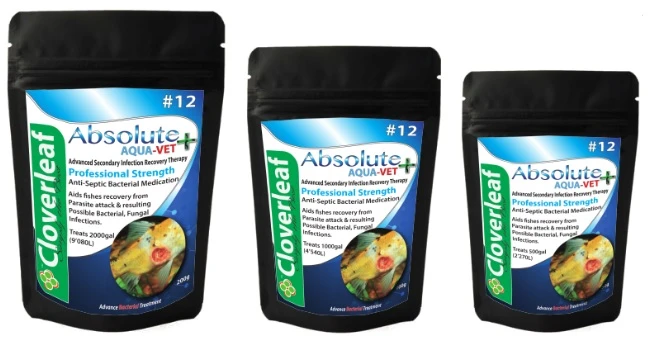 Anti Septic Treatment