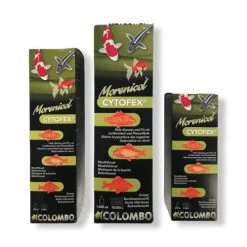 Colombo Cytofex Anti Bacterial Infections