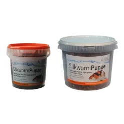 Silkworm Pupae Pond Fish Treats