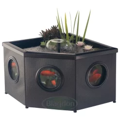 Affinity Corner Pool