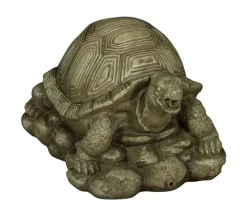 Turtle Water Spitter Feature