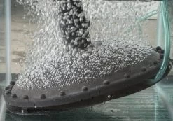 Aerated Bottom Drain Dome