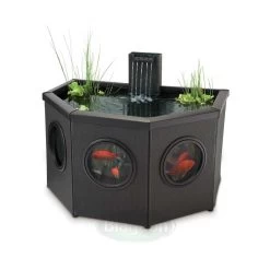 Affinity Half-Moon Pool