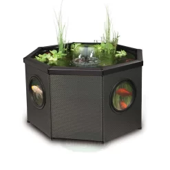 Affinity Octagon Pool