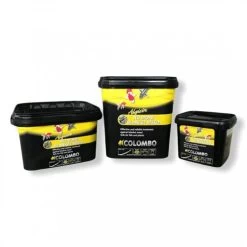 Colombo Algisin