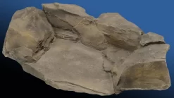 Niagara Fall Slate Spring